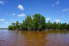 Chwaka bay, Sansibar, Tansania © Marijana Toben