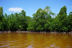 Chwaka bay, Sansibar, Tansania © Marijana Toben