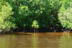 Chwaka bay, Sansibar, Tansania © Marijana Toben