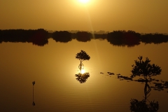 Senegal © M. Maschler