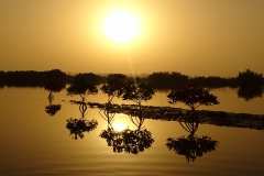 Senegal © M. Maschler