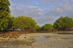 Nusa Lembongan, Indonesien © Björn Döhle