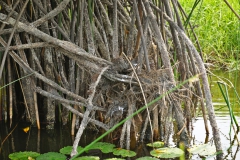 Lagoon of Ouidah, Benin © Marijana Toben
