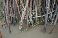 Lagoon of Ouidah, Benin © Marijana Toben