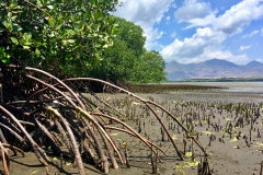 Gilimanuk, Bali, Indonesien © Björn Döhle