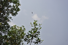 DSC03907