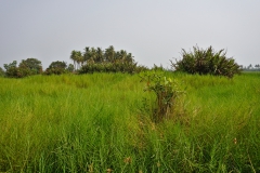 DSC04088
